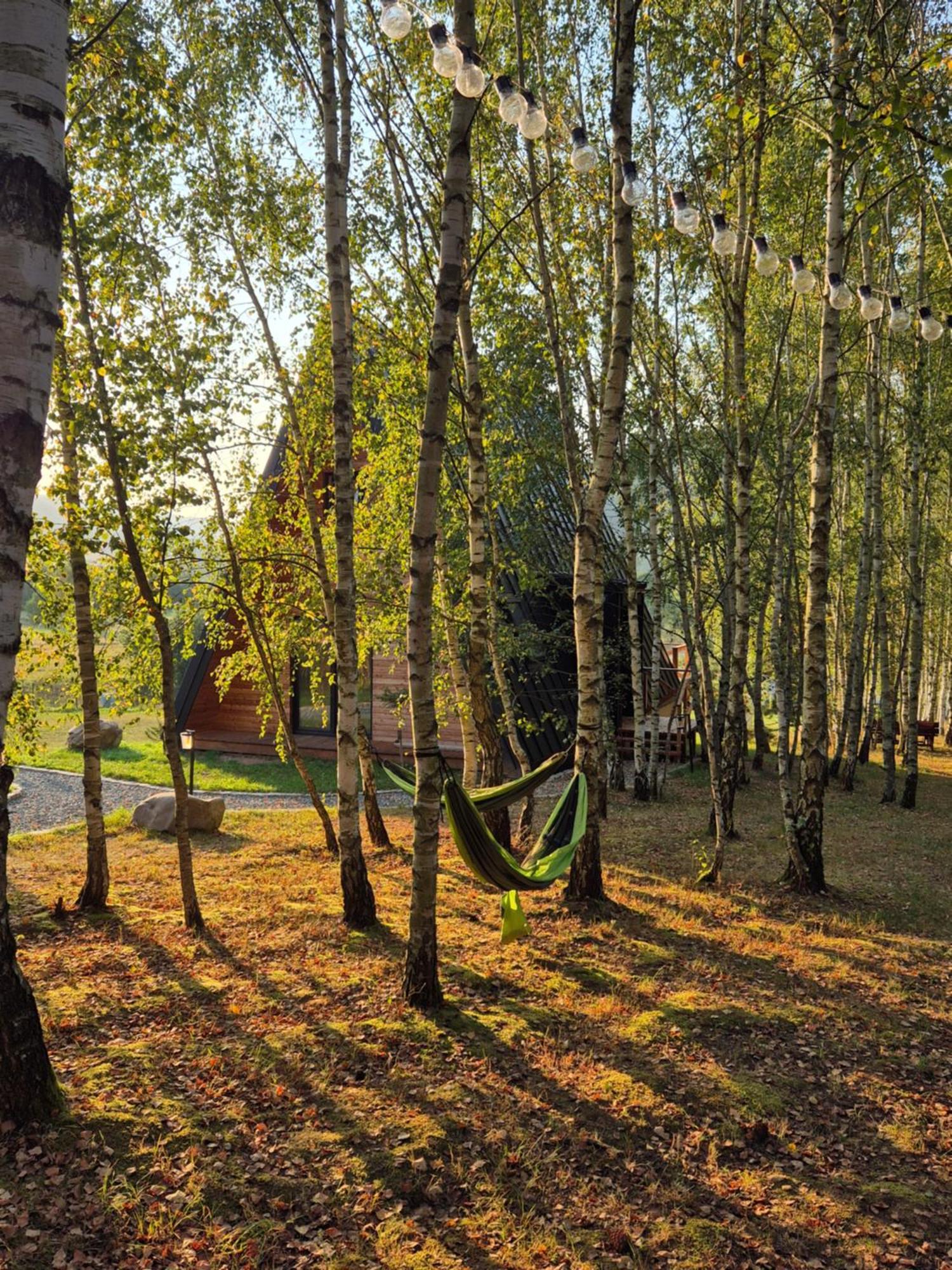 Brda Na Skraju Lasu Wambierzyce Exteriör bild
